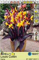 Канна Луи Коттин 1шт*