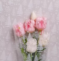 Пленка прозрачная 70см*70гсм Зимний лес белый