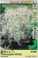 Гипсофила Паникулата Белая 2шт*
