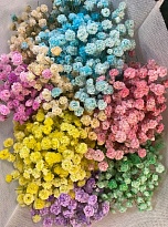 Гипсофила Крашен. Пастель Микс (К) 1уп