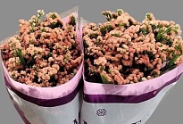 Статица Royal Orange 5 шт