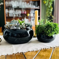 Кашпо миска Polnix Piano d19 h8см керамика черный