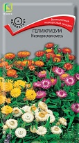 Гелихризум Низкорослая смесь 0,1г /Поиск
