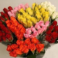 Роза Mix дл.70 10шт
