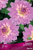 Георгина декоративная Бисти 1шт