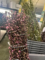 Ветка персика Pink пучок 60см 1шт