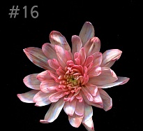 Краска для срезанных цветов №16 1л насыщенный гранат  