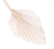 Лист пальмы сухоцвет h10-15см белый