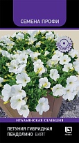 Петуния гибридная Пендолино Вайт 5шт /Поиск