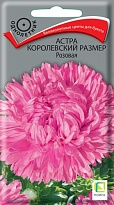Астра королевский размер Розовая 0,1г /Поиск