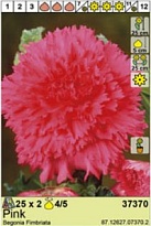 Бегония Фимбриата Розовая 4/5 2шт*