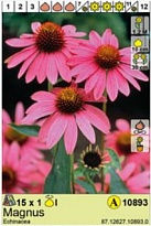 Эхинацея Магнус 1шт*