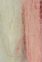 Агростис Bleach краш. пучок 1шт