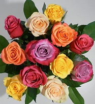 Роза Mix In bunch дл.35 10шт