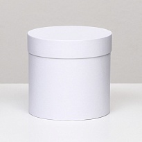 Коробка шляпная с крышкой d25*h25см базовый белый
