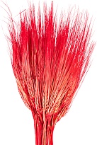 Ячмень сухоцвет, h60см, 100г, красный
