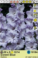 Гладиолус Свит Блю 12/14 5шт*