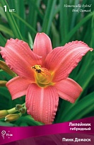 Лилейник гибридный Пинк Дамаск 1шт