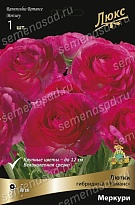 Лютик гибридный Романс Меркури 1шт