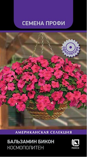 Бальзамин Бикон Космополитен 7шт /Поиск