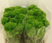 Гвоздика Br Barberats Fesh 10шт