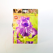 Ирис Батик герм. 1шт*