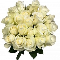 Роза AAA Roses Proud дл.40 10шт