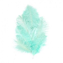 Перья Страуса h15-20см 10шт/уп тиффани