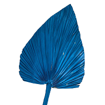 Лист пальмы сухоцвет, 80г, синий