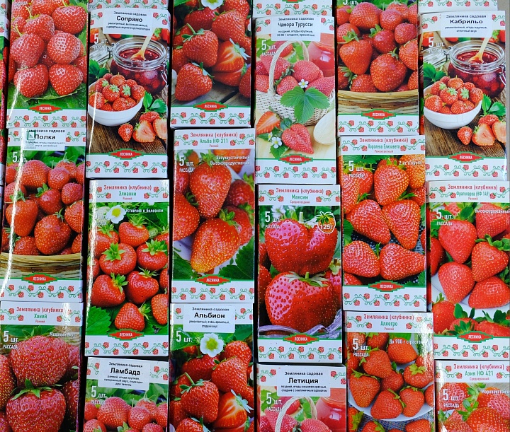 Земляника Максим Гигантелла (ОКС) 5шт/кор