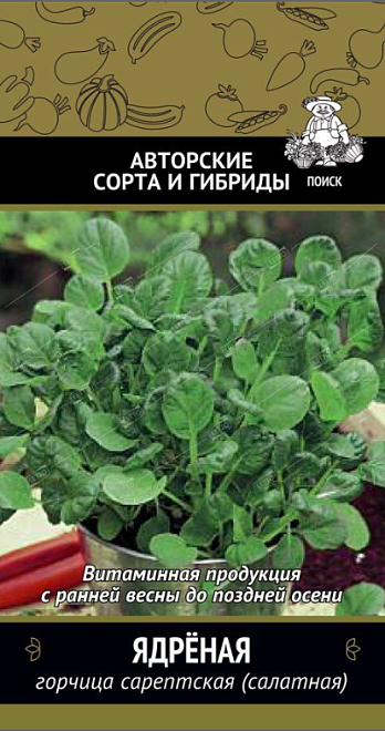 Горчица Ядрёная салатная (сарептская) 1г /Поиск