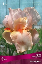 Ирис бородатый Пати Дресс 1шт