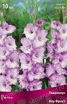 Гладиолус Блу Фрост 10/12 10шт