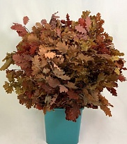 Листья дуба стабил. Autumn (150gr) 1пуч