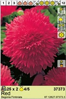 Бегония Фимбриата Красная 4/5 2шт*