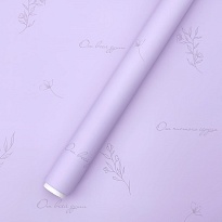 Пленка матовая 60см*10м 65мкр Эскиз лавандовый