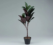 Фикус искусcтвенная h65см зеленый