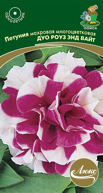 Петуния махровая Дуо роуз энд вайт 10шт /Поиск