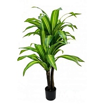 Драцена Компакта искусcтвенная h130см 
