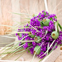 Статица Navy Sun Birds 5шт