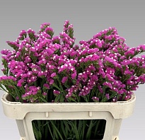 Статица Crystal Pink 5шт