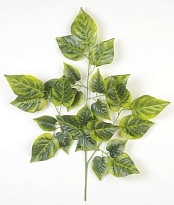 Зелень ветка искусственный магнолия 75см зеленый