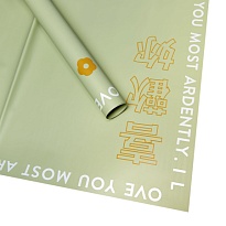 Пленка матовая 58*58см Иероглифы 10 листов зеленый