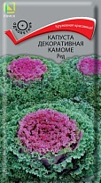 Капуста декоративная Камоме Ред 10шт /Поиск