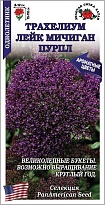 Трахелиум Лейк Мичиган Пурпл 5шт /ЗС