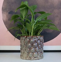 Кашпо Polnix Vintage d14 h13см керамика коричневый 