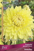 Георгина декоративная Бильбао 1шт