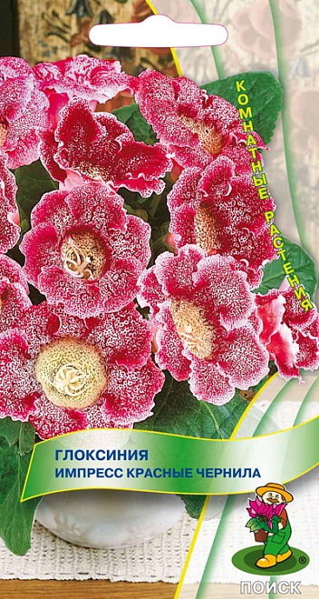 Глоксиния Импресс Красные чернила 5шт /Поиск