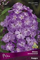 Флокс метельчатый Андрэ 1шт