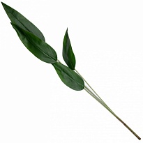 Зелень ветка искусственная листья h105см зеленый
